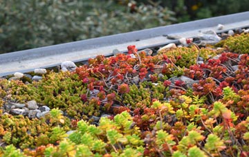 the cost of Hooksway green roof installation