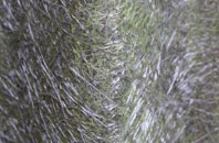 Hooksway fibreglass roof work